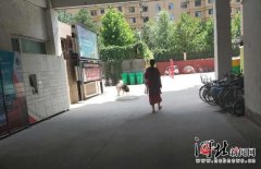 石家庄社区遛狗情况调查：不拴绳现象普遍存在